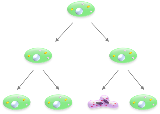 細胞の分裂と異常細胞