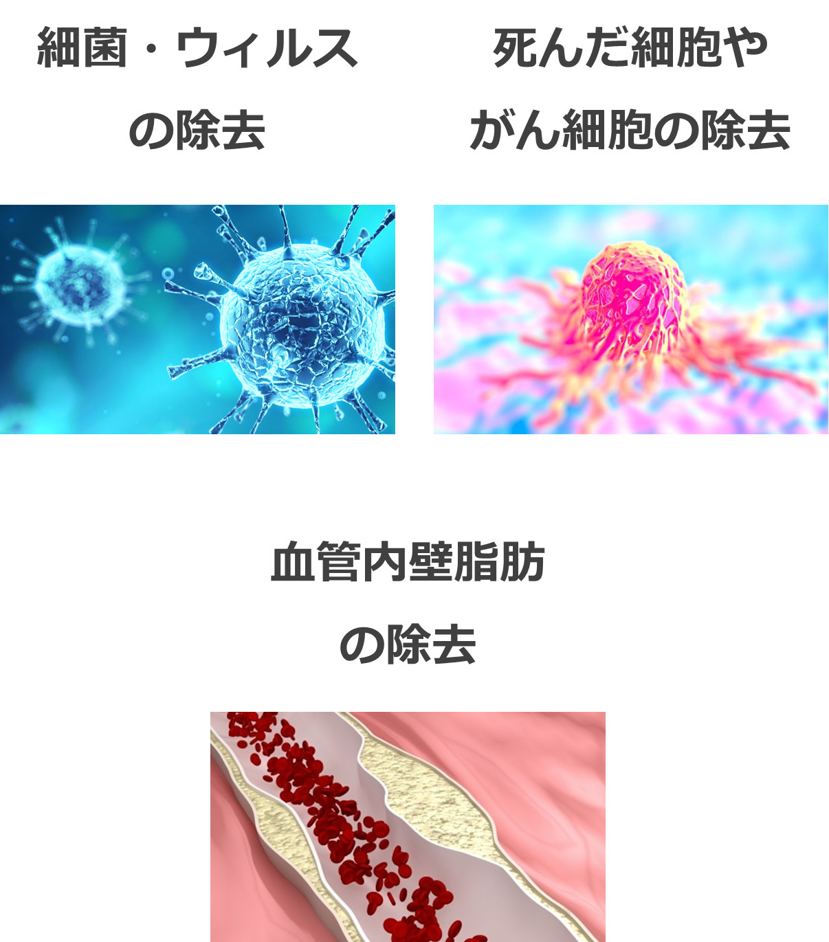 病原体の除去・ガン細胞の除去・血管の掃除