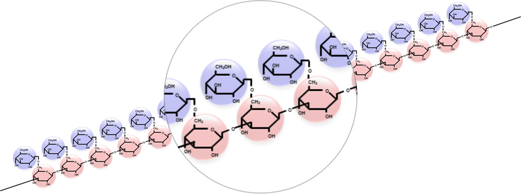 BRMGの分子構造
