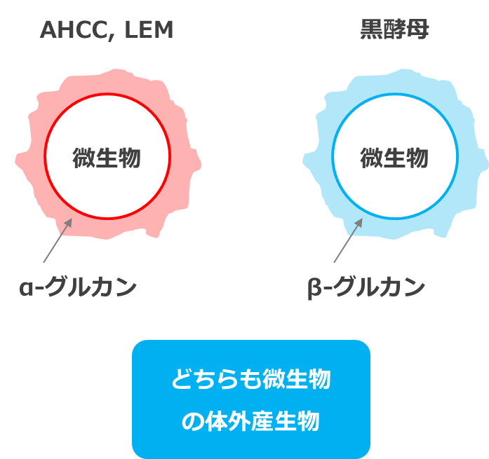 α-グルカン（AHCC,LEM）とβ-グルカン（黒酵母）