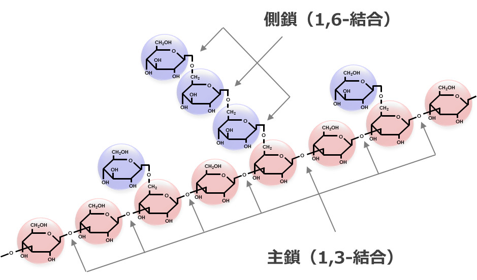 β-1,3-1,6-グルカンの結合様式
