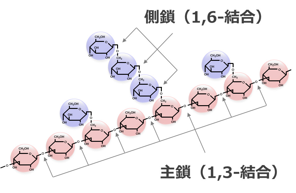 β-1,3-1,6-グルカンの結合様式