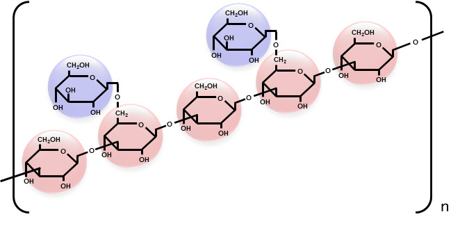 レンチナン（分子構造）