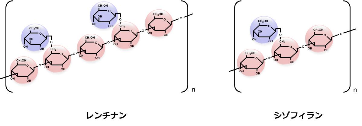 レンチナンとシゾフィランの分子構造