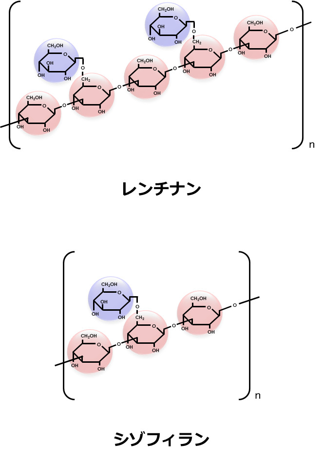 レンチナンとシゾフィランの分子構造