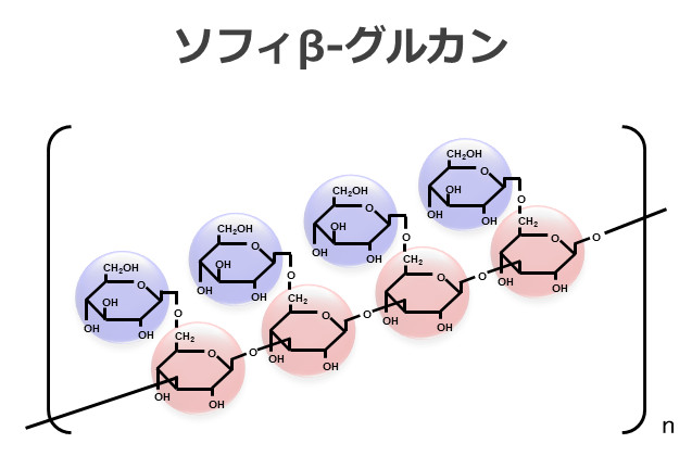 ソフィβ-グルカンと分子構造