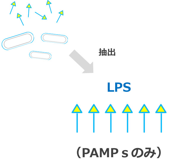 LPSとPAMPｓ