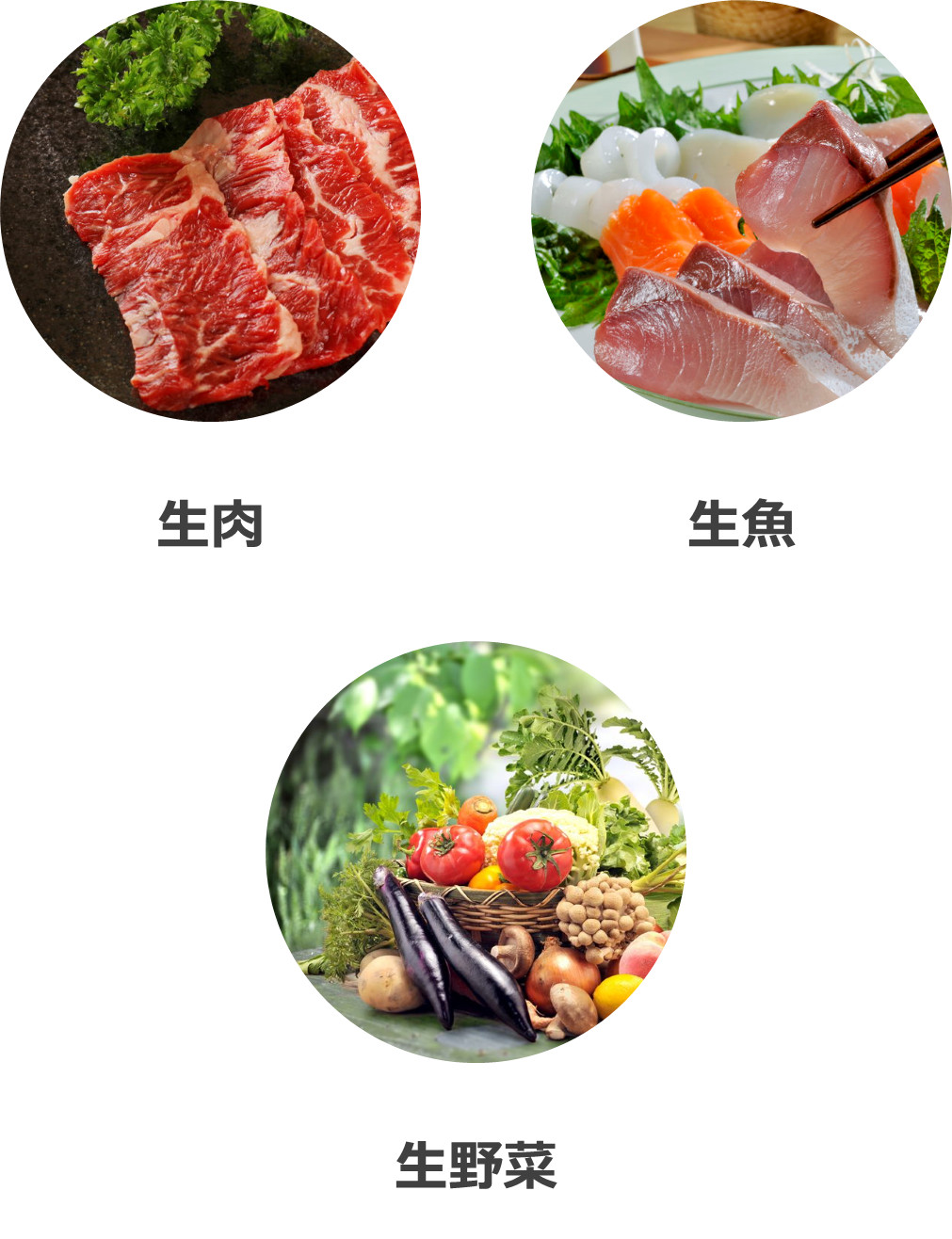 肉・魚・野菜