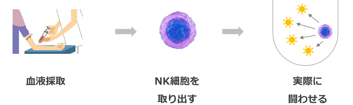 NK活性の測定方法（概要）