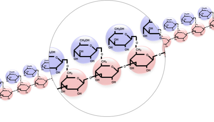 β-グルカンの分子構造