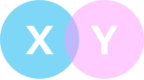 XとY