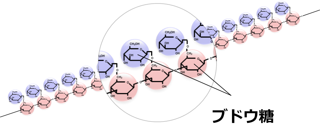BRMGの分子構造